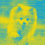 Smooth Jazz - Bgm for Calming Doggy Time cover