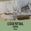 !!! Essential Shore Music !!! cover