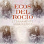 Enamorado De Ti cover