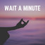 Wait a Minute cover