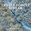 Stream Frequencies: Frosty Forest Stream cover