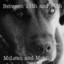 Unknown Title cover