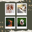 Music for Running with Dog (Vibraphone Jazz) cover