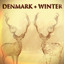 You Are Here - Denmark + Winter