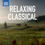 Takako Nishizaki - The Four Seasons, Violin Concerto No. 2 in G minor, Op. 8, RV 315, "Summer": III. Presto