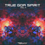 True Goa Spirit, Vol. 4 cover