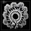 Toroidal - Extended Mix