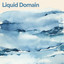 Liquid Domain cover