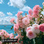 Sola Okoro/Sanyu Beats/Afro King - Soft Love Without Labels