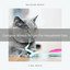 Complex Woods Noises For Household Cats cover