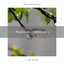 1 Música de la Selva vol. 1 cover