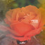 Flower - Extended Mix