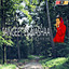 Unknown Title cover