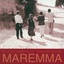 Unknown Title cover