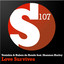 Love Survives feat. Shannon Hurley - Toby Hedges Remix