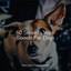 50 Serenity Yoga Sounds For Dogs cover