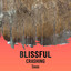 Blissful Crashing Seas cover