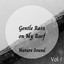 Nature Sound: Gentle Rain on My Roof Vol. 1 cover