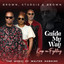Brown, Sturgis & Brown - Guide My Way - Keep On Fighting feat Jonathan DuBose Jr
