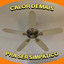 Calor demais pra ser simpático cover