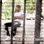 100 Reasons cover