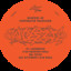 Anon - DJ Stingray 313 Rmx