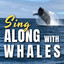 Sing along with Whales cover