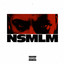 NSMLM cover