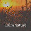 Calm Nature cover