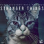 Stranger Things - Extended Mix