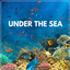 Under the Sea cover