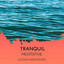 Tranquil Meditative Ocean Harmonies cover