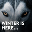 Winter Is Here cover
