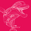 Vector Groove