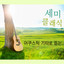 달빛 cover
