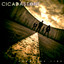 Cicadastone - Draw The Line