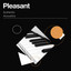 zZz Pleasant Authentic Acoustics zZz cover