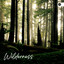 Wilderness cover