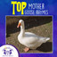 TOP Mother Goose Rhymes cover