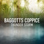 Baggotts Coppice Thunder Storm cover