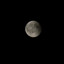 Moonbeam