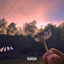 Echo cover