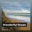 Wonderful Ocean cover