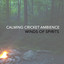 Calming Cricket Ambience cover
