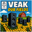 Dub Fields artwork