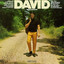 David cover