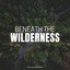Beneath the Wilderness cover