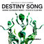 Destiny Song - Henrik Schwarz Remix