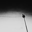 Tightrope - OCB Remix