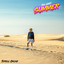 The Lost Summer cover